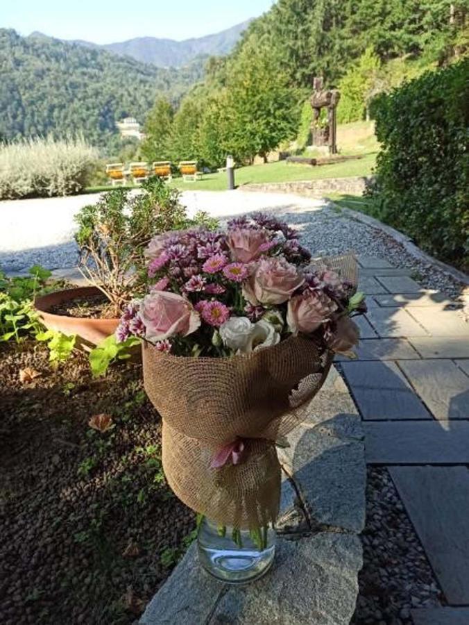 Il Bosco Di Campo Marzano Studios Borzonasca Exterior photo
