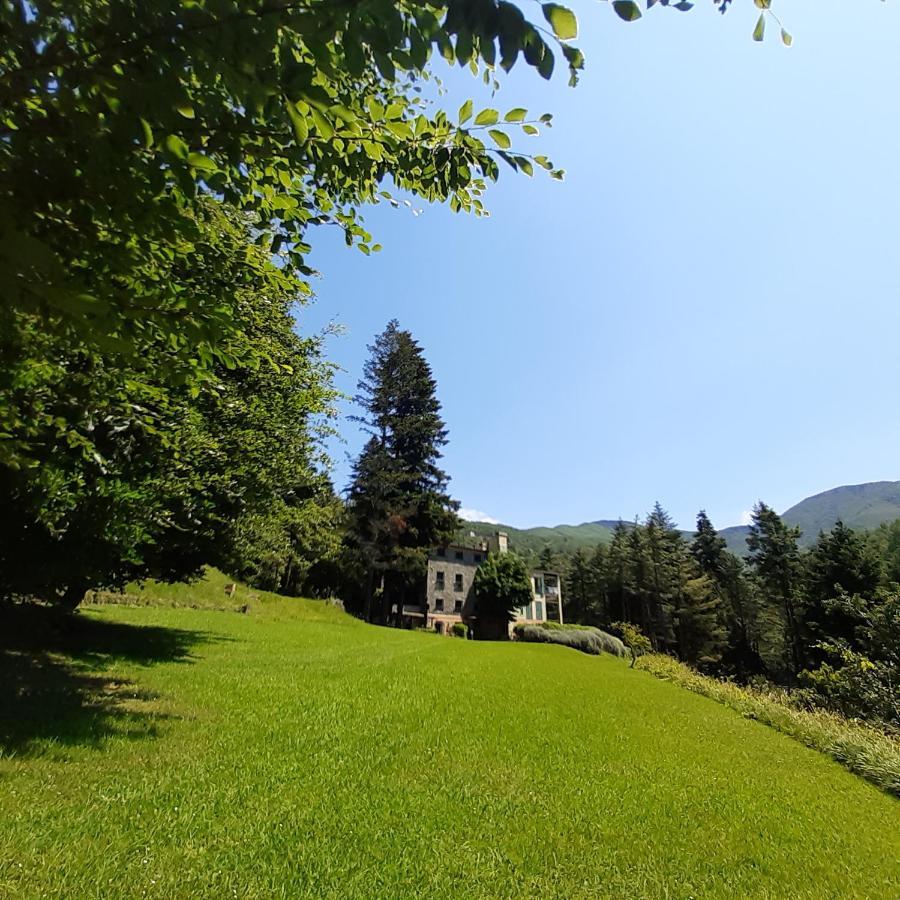 Il Bosco Di Campo Marzano Studios Borzonasca Exterior photo