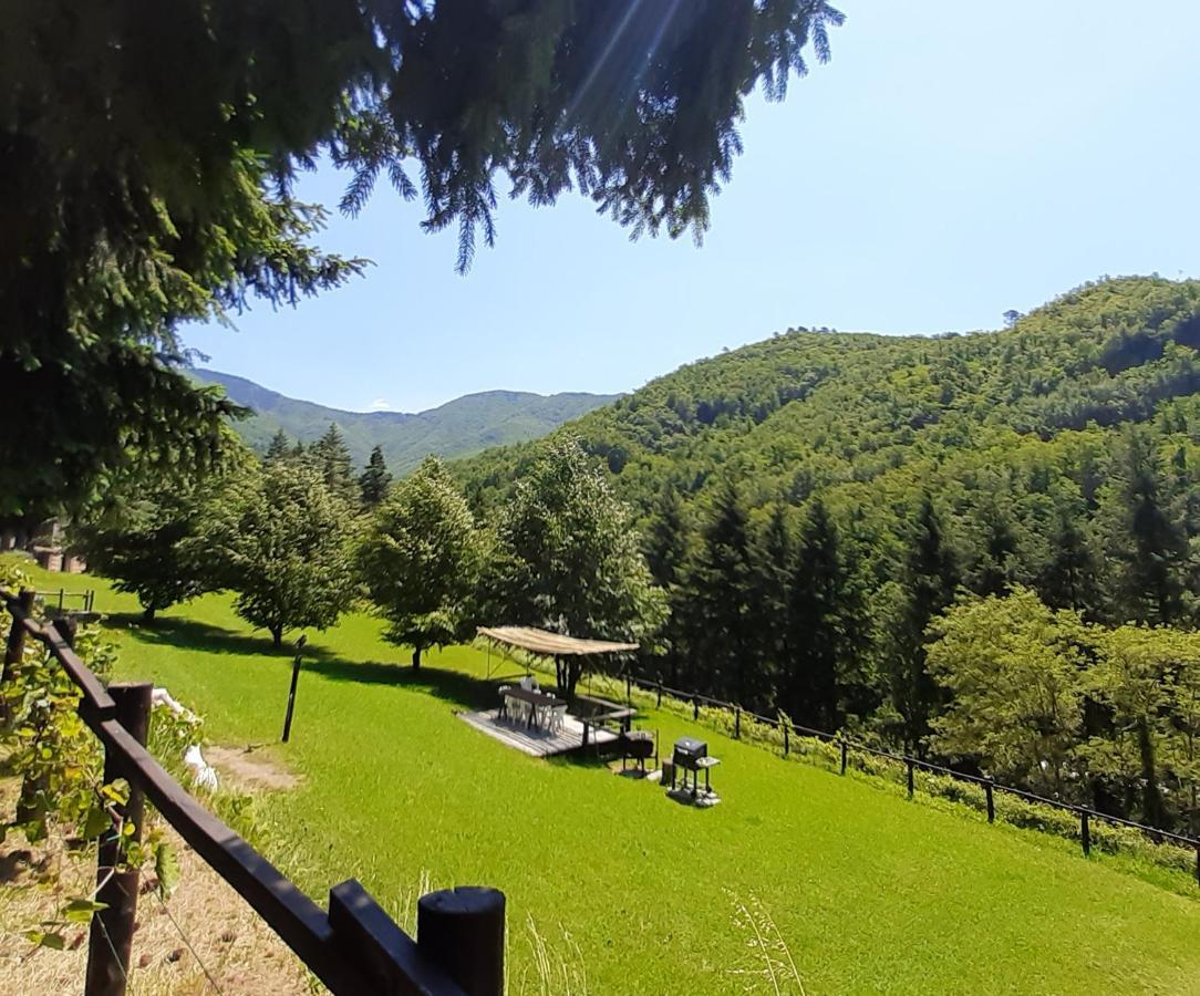 Il Bosco Di Campo Marzano Studios Borzonasca Exterior photo